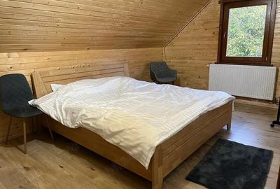 Casa cabana jud. Brasov Bran Moieciu - 6