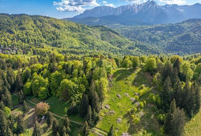 Teren intravilan cu potential turistic si de agrement, zona Trei Brazi - 8