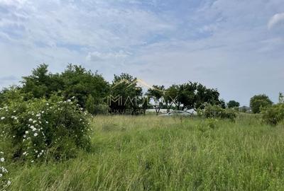 Teren intravilan***1439 mp***Cretesti-Vidra-Ilfov - 13