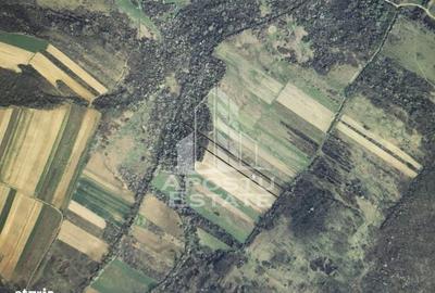 Spațiu comercial, în Bârsa - 5