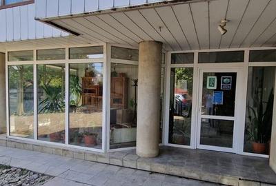 Spațiu comercial, de 384 mp, în Mihai Bravu - 18