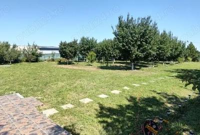 Teren de 1200 mp, în Căscioarele (Ulmi) - 9