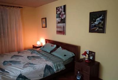 Vand casa complet mobilata - 3