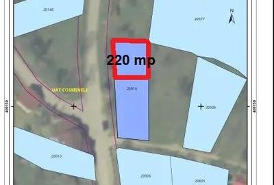 7700 Euro vanzare 220 mp teren asfalt apa gaz si curent Cosminele Prahova superb - 2