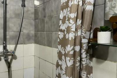 Apartament cu o camera de inchiriat in zona Iulius Mall - 2