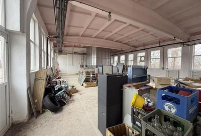 Hale industriale de inchiriat cu platforma betonata de 10.424mp - Șerbanest - 7