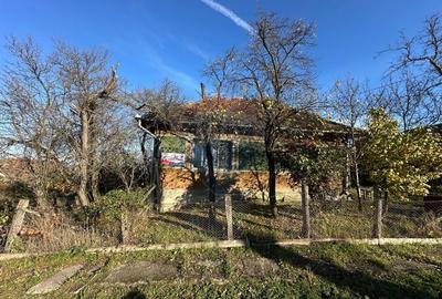 GOSPODARIE - liniste - natura - DE VANZARE - 1