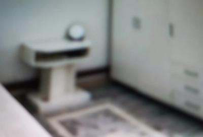 Dau in chirie garsoniera Cluj ultracentral, zona Teatru National - 1