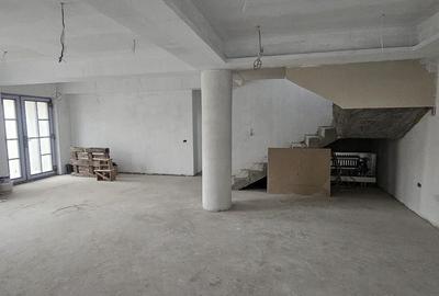 Casa individuala P+M de vanzare in Satu Costi - Casa individuala P+M de vanzare in Satu Costi - - 8