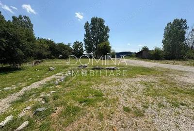 Vanzare complex industrial *hala 682 mp + teren 2,5 ha* - Tetila - 2