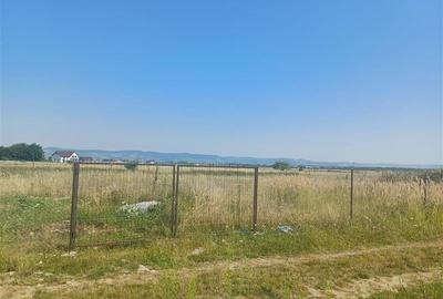 Teren intravilan de vanzare cu fantana si curent electric pe teren - 5