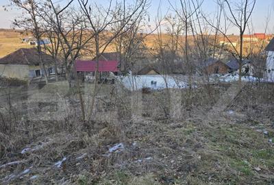 Teren intravilan 7.9 ha. Sandra - 5