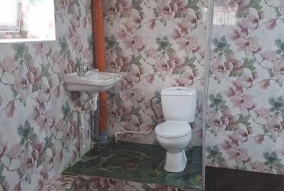 Gara de Nord, Stirbei Voda, Piata Victoriei, Romana, Cotroceni - 17