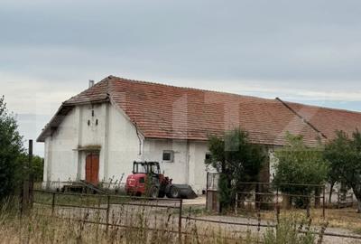 Ferma de Vanzare in judetul Timis, la nord est de Timisoara, 10ha 6 hambare - 4