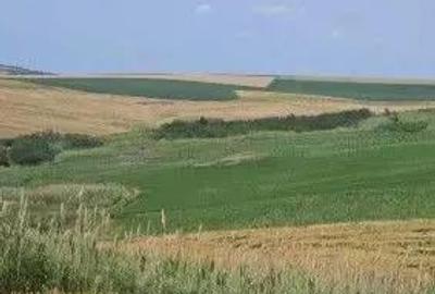 Teren Extravilan Aroneanu, ID: R2577828 - 5