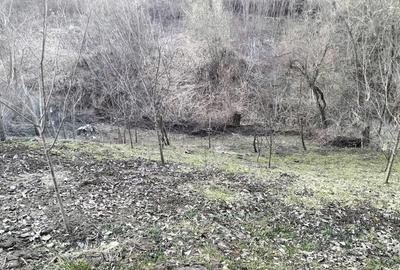 Casă cu 3 camere în Hărănglab - 8