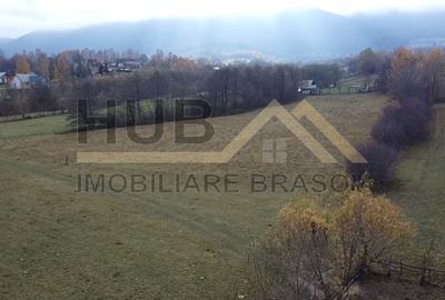 Teren Zarnesti | Tohanita | Intravilan | PUZ aprobat | Fara Utilitati | 9.053mp - 8