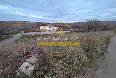 Teren Bucium – Plopii Fără Soț, 469–938 mp - 4