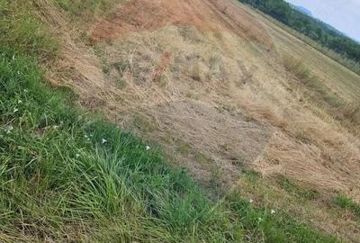 Teren 1,945mp Sarasau / Drumul PRINCIPAL - 3