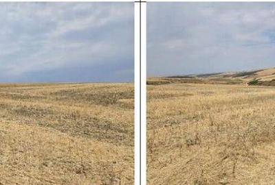 Teren Negureni, cota parte 1/8, ID: R2695094 - 3