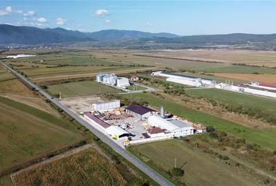 Oportunitate investiție prelucrare lemn, Cristian,jud.Sibiu - 2