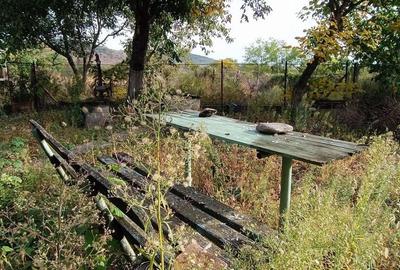 🏡  Casă de Poveste în Șiria, Arad- Locație Rară - 18