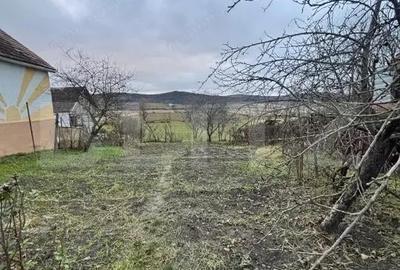 Casa tradi?ionala batraneasca in Galatii Bistri?ei, cu teren generos ?i anexe - 2