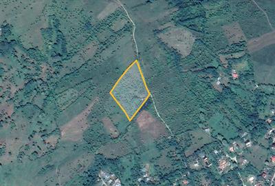 Teren Construcții intravilan de 9000 mp, în Ogretin - 4