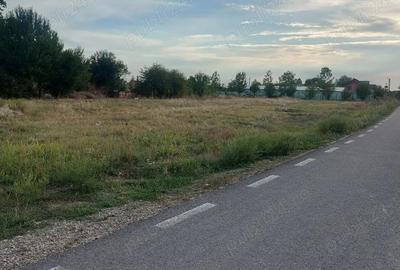 Vanzare teren intravilan, comuna Gura Sutii - Dambovita - 1