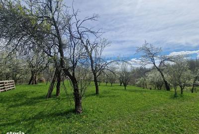 Spațiu comercial, în Ghioșești - 8