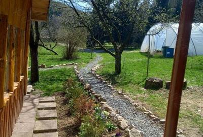 Vand casa+cabana Vand casa+cabana - 7