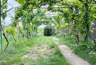 Casa cu teren 2052 mp in Saldabagiu de Munte - 8