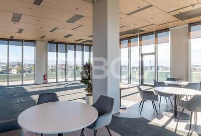 Birouri premium in Sibiu-Spatii flexibile moderne pentru companii TOP - 9