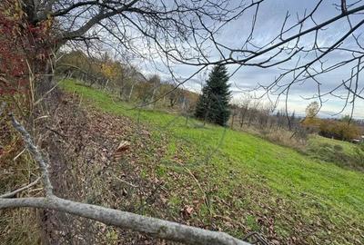 Teren intravilan 3.000 mp, 2 fronturi, Valea Jelnei - 1