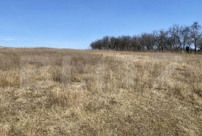 Teren extravilan in suprafata de 140551 mp in loc. Recea - 9