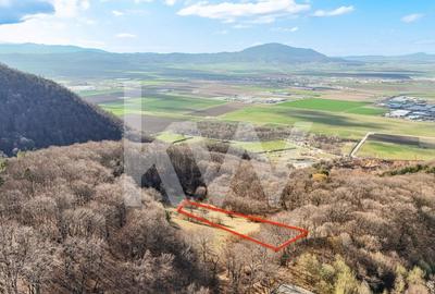 Teren Construcții intravilan de 1058 mp, în Drumul Poienii