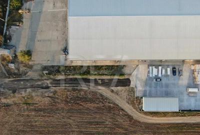 Hala temperatura controlata | Depozitare/Productie | Vidra\C - 4