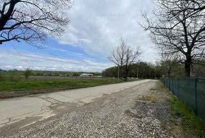 Teren Pantelimon - Cernica Baza Agrement - Deschidere LAC - 6