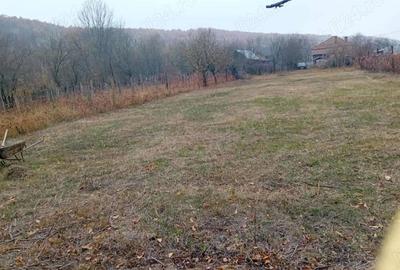 Casa de vanzare in com. Stoina, sat Paisani, jud, Gorj Casa de vanzare in com. Stoina, sat Paisani, jud, Gorj - 2