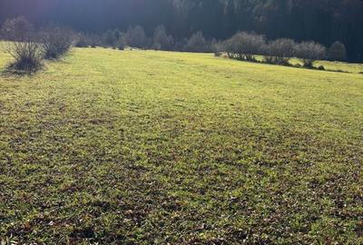 Spațiu comercial, în Vatra Moldoviței - 2