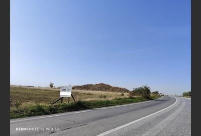 Teren agricol 2500 mp, Cocorăștii Colț - 2