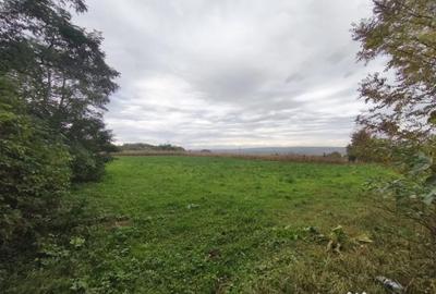 Casă cu 2 camere cu Teren 3000 Mp în Pădureni - 6