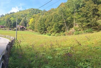 Spațiu comercial, în Măguri - 6