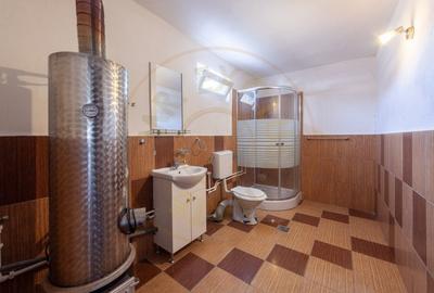 Casa cu teren generos si gradina spectaculoasa – Comuna Cuca, Arges! - 11