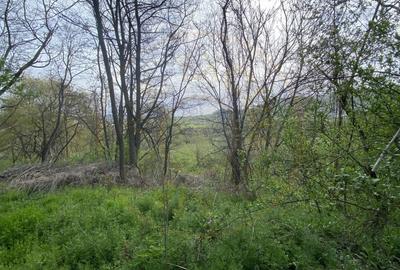 Teren intravilan 1.400 mp - Schitu Golesti AG - 6