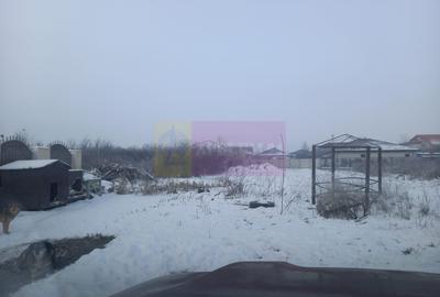 Teren 1000 mp Domnesti - 6