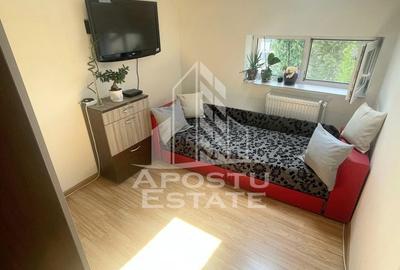 Apartament cu 3 camere semidecomandat, mobilat în Lipovei - 8