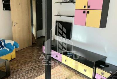 Apartament cu o camera si terasa 14 mp, zona Aradului - 9