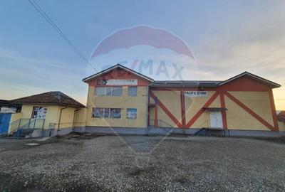 HALA SI SPATII COMERCIALE - DN15-BUHUSI- BACAU - 5