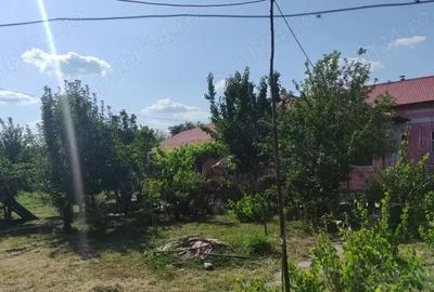 Vand casa caramida Comuna Branceni - 1